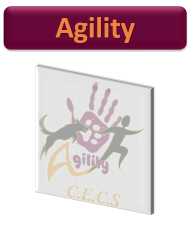 Agility