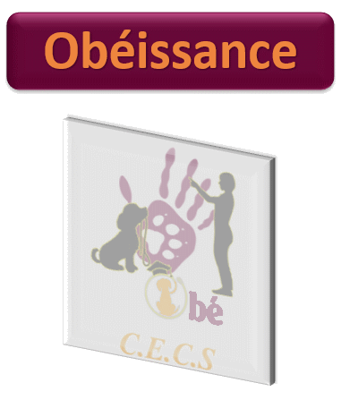 Obéissance